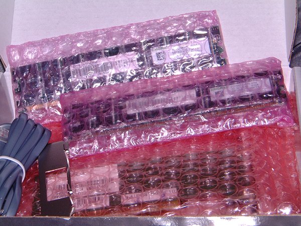 [写真：袋に入った状態のメモリ]